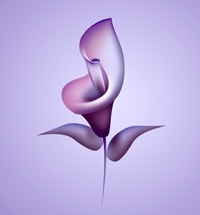 漂亮紫色花朵制作