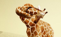 Photoshop制作扭脖子的长颈鹿