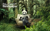 PhotoShop打造森林里读报的熊猫人后期合成教程