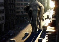 PS合成大象漫步行走在城市道路上