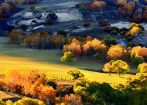 Photoshop调出外景照片唯美的秋季金黄色调