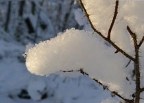 冬季雪花装饰PS笔刷