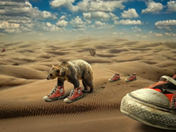 ps合成教程: 行走在沙漠里的棕熊