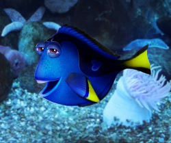  Photoshop合成可爱健忘的Dory