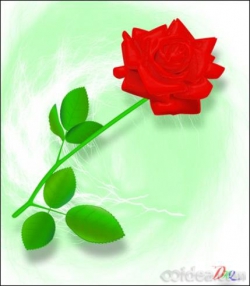 Illustrator教程：绘制漂亮的玫瑰花