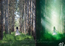 Photoshop给森林照片添加唯美的丁达尔光效