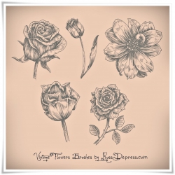 复古的玫瑰花和花卉PS笔刷