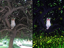 Photoshop合成梦幻主题风格的猫咪照片