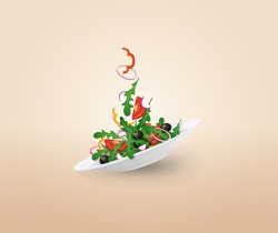 Illustrator制作唯美多彩蔬菜沙拉盘