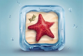 Photoshop结合C4D制作3D海星和冰块图标