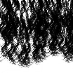 女性长发和头发装饰PS笔刷