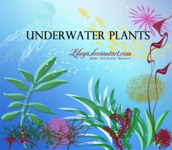 海底生物和植物PS笔刷
