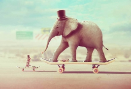 Photoshop合成在滑板表演的大象和老鼠
