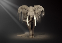 Photoshop合成一只沙质化的大象