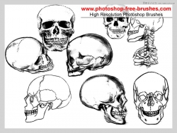 素描风格骷髅头PS笔刷