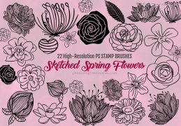 手绘鲜花和花朵装饰PS笔刷