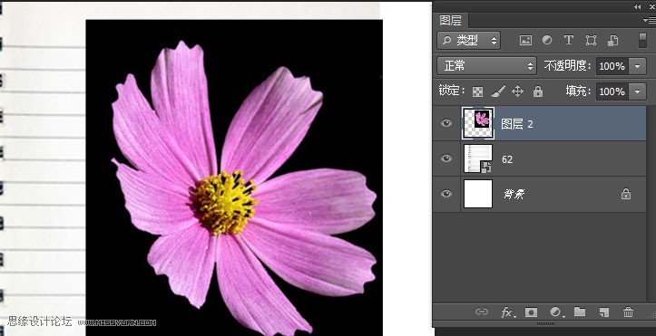 Photoshop制作蓝色圆珠笔手绘花朵照片,PS教程,思缘教程网