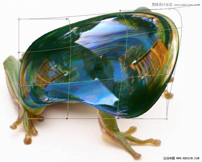 Photoshop合成一只晶莹剔透的青蛙,PS教程,思缘教程网