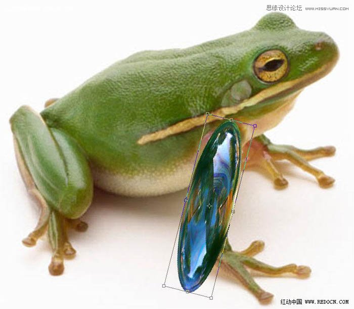 Photoshop合成一只晶莹剔透的青蛙,PS教程,思缘教程网