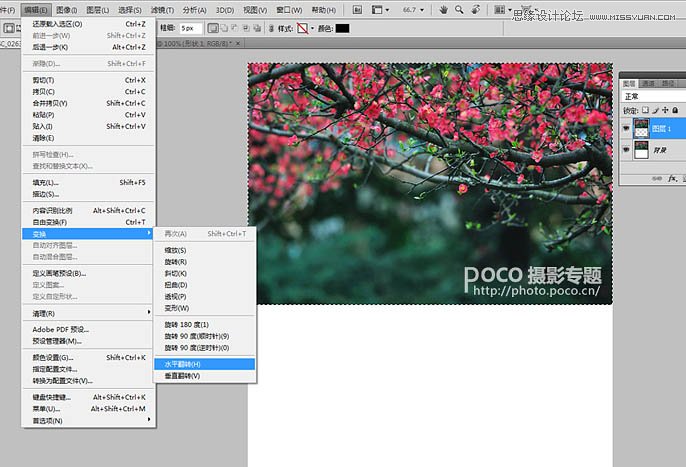 Photoshop调出梅花摄影照片唯美紫色效果,PS教程,素材中国 sccnn.com