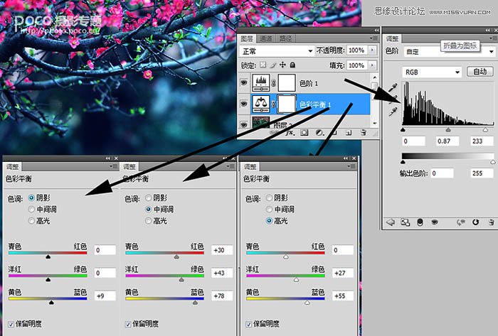 Photoshop调出梅花摄影照片唯美紫色效果,PS教程,素材中国 sccnn.com