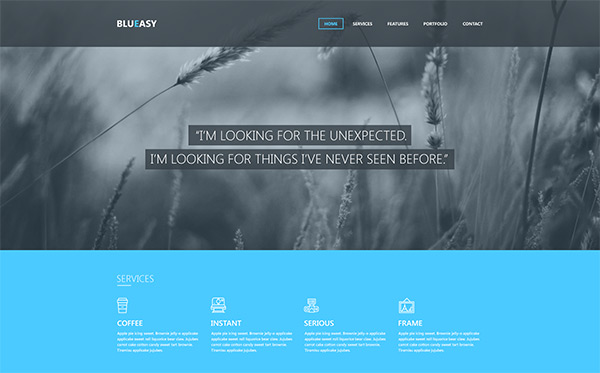 Blueasy Freebie by Djordje Vanjek in 50 Fresh Freebies From Dribbble