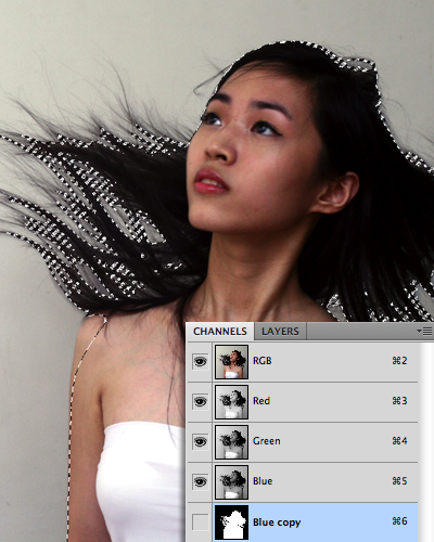 quick selection tool in photoshop 17 Photoshop中的5个快速选择工具