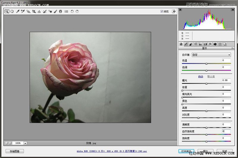 Photoshop调出柔美清新的粉色玫瑰效果,PS教程
