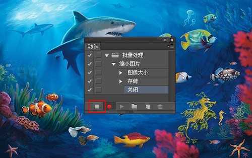 如何使用photoshop批量处理摄影图片