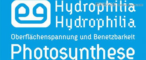 45款精心挑选的免费英文字体免费下载,素材中国