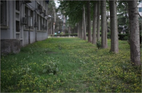 摄影是用来玩的 反重力跌落少女拍摄法