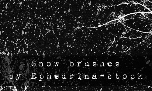 Snow_brushes_by_ephedrina_stock.jpg