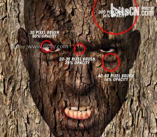 PS合成恐怖效果的树皮人脸效果教程