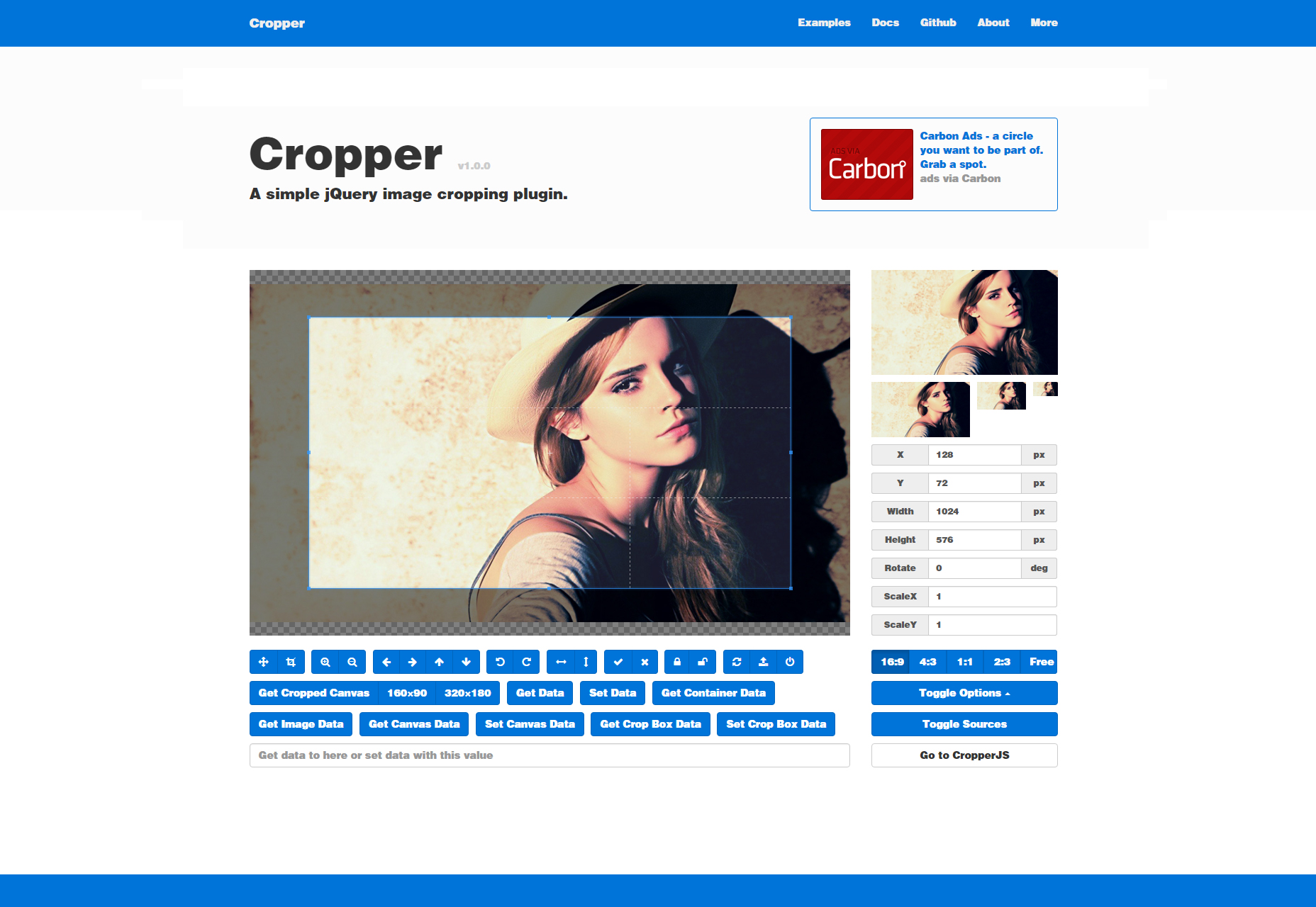 cropper-simple-image-cropping-jquery-plugin