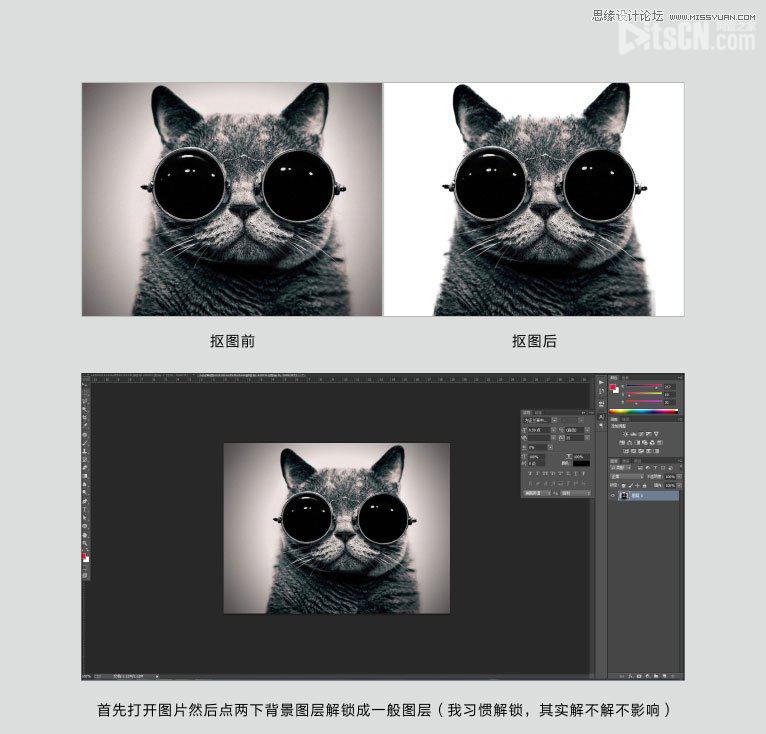 Photoshop使用通道给黑色猫咪抠图