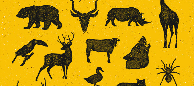 25 Hand-Drawn Vector Animal Pack