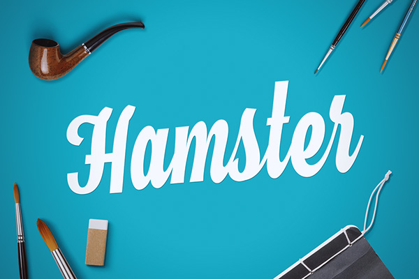 Hamster-Script-Amazing-free-Fonts-18