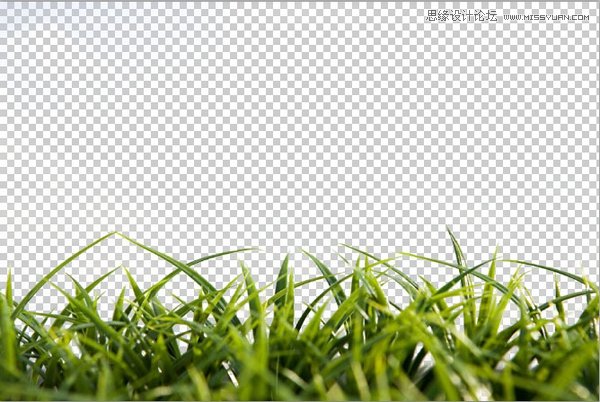 Photoshop巧用色彩范围抠出小草效果图,PS教程,素材中国网