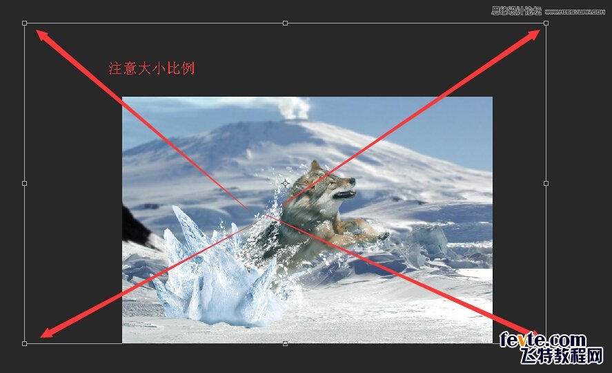 Photoshop合成从冰雪中冲出的狼特效,PS教程,素材中国