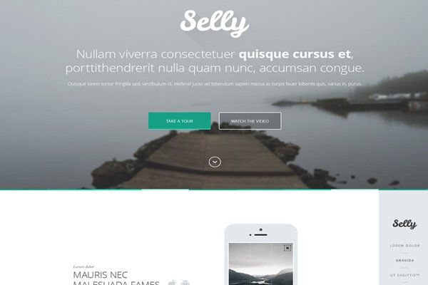 freebie psd mockup selly landing page download