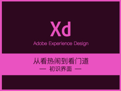 Adobe XD基础教程＃不要看热闹啦＃ by SkyHorse丨