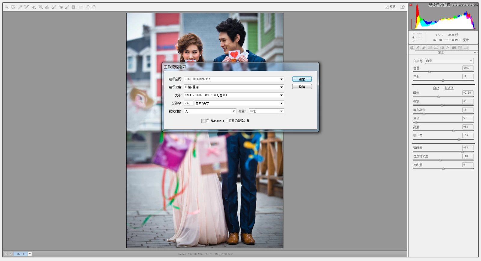 Photoshop调出婚纱照片韩式小清新效果图,PS教程,设计原