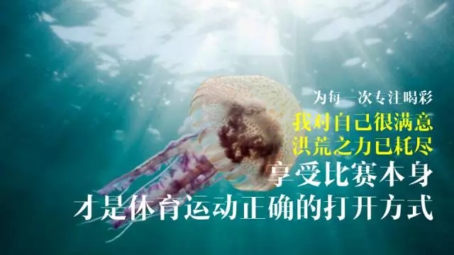 奥运游泳文案沙雕,奥运游泳文案沙雕搞笑