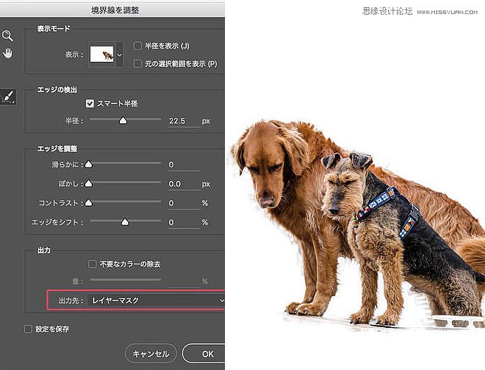 Photoshop如何使用调整边缘抠出毛茸茸小狗,PS教程,素材中国网