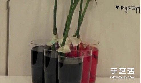 利用虹吸原理DIY制作彩虹玫瑰花的方法教程-设