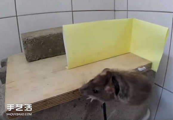 简易捕鼠器制作方法图解自制捕捉老鼠的陷阱