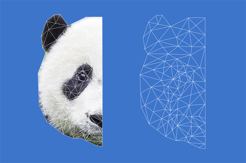 Photoshop制作低多边形特效的熊猫头像,PS教程,素材中国网