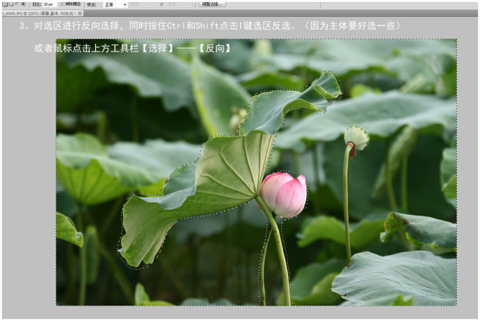 Photoshop快速的虚化荷花背景突出主题,PS教程,素材中国网