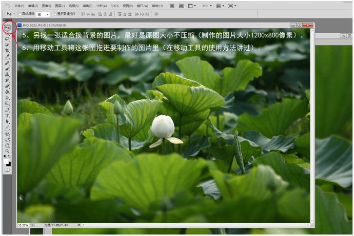 Photoshop快速的虚化荷花背景突出主题,PS教程,素材中国网