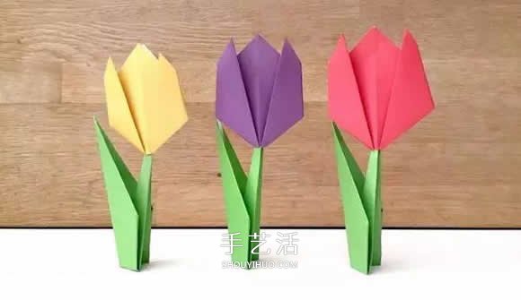 郁金香和花茎叶子的折解